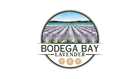 Bodega Bay Lavender