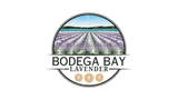Bodega Bay Lavender