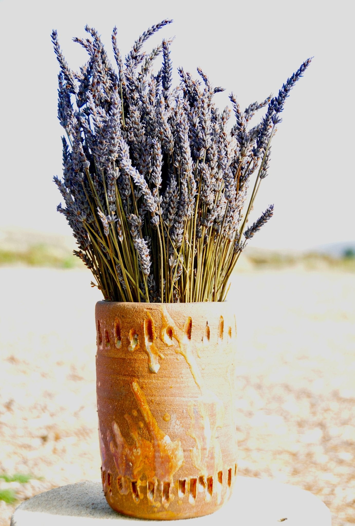Medium Dried French Lavender Bouquet - Bodega Bay Lavender
