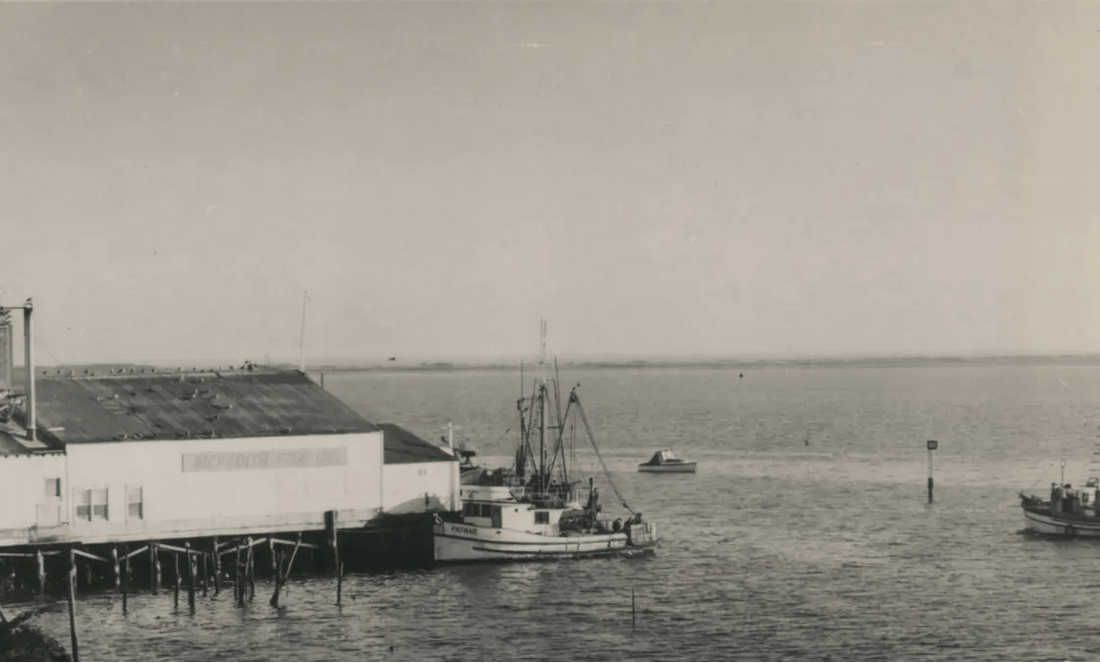 History of Bodega Bay - Bodega Bay Lavender