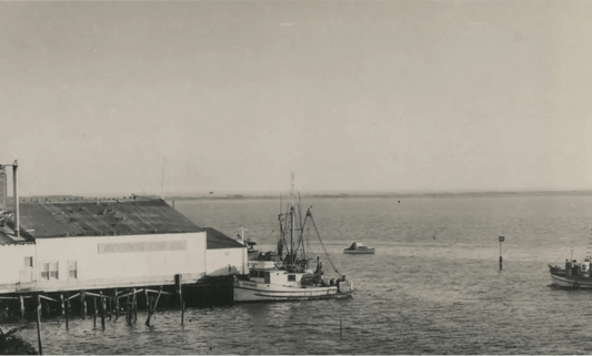 History of Bodega Bay - Bodega Bay Lavender