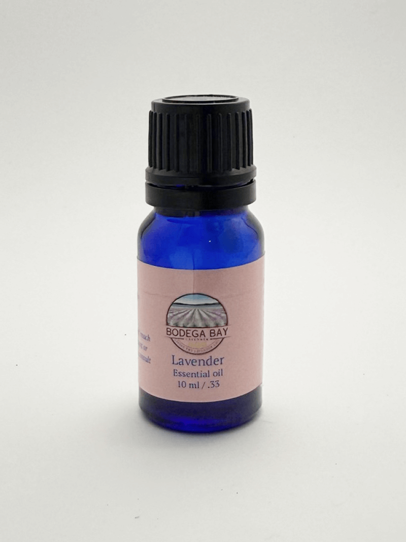 100% Pure Lavender Essential Oil (10ml) - Bodega Bay Lavender