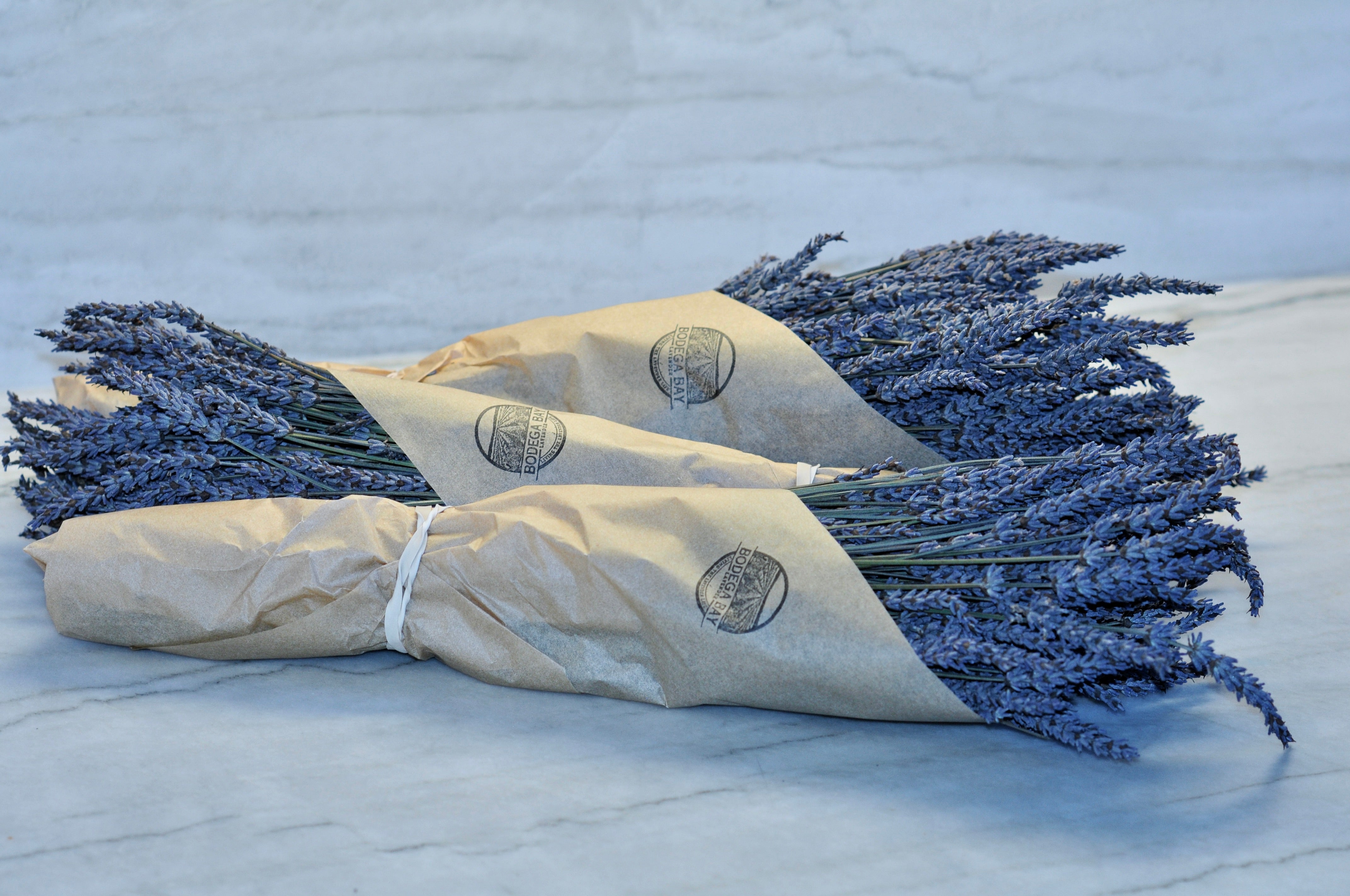 3 Pack Dried French Lavender Bouquets Bodega Bay Lavender