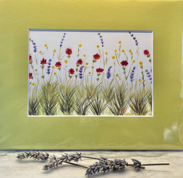 5x7 Hand painted Watercolor print ready to frame -Wildflowers of Northern Spain