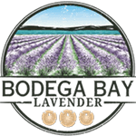 Bodega Bay Lavender